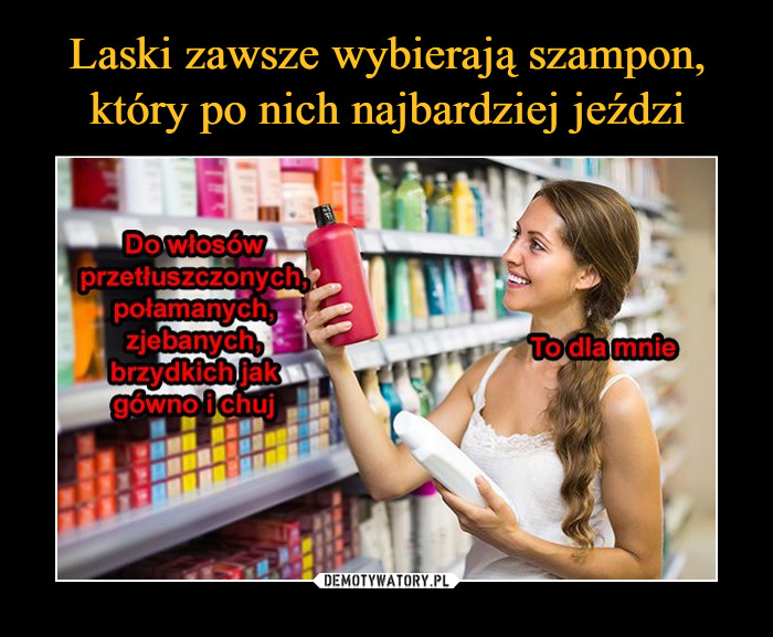 laski zawsze wybieraja szampon ktory najbardziej po nich jezdzi