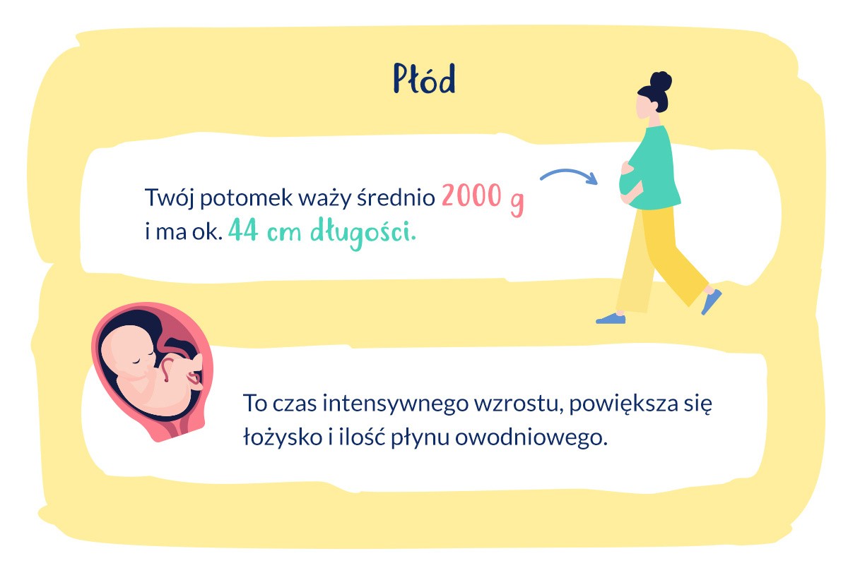 33 tydzień ciąży waga dziecka pampers