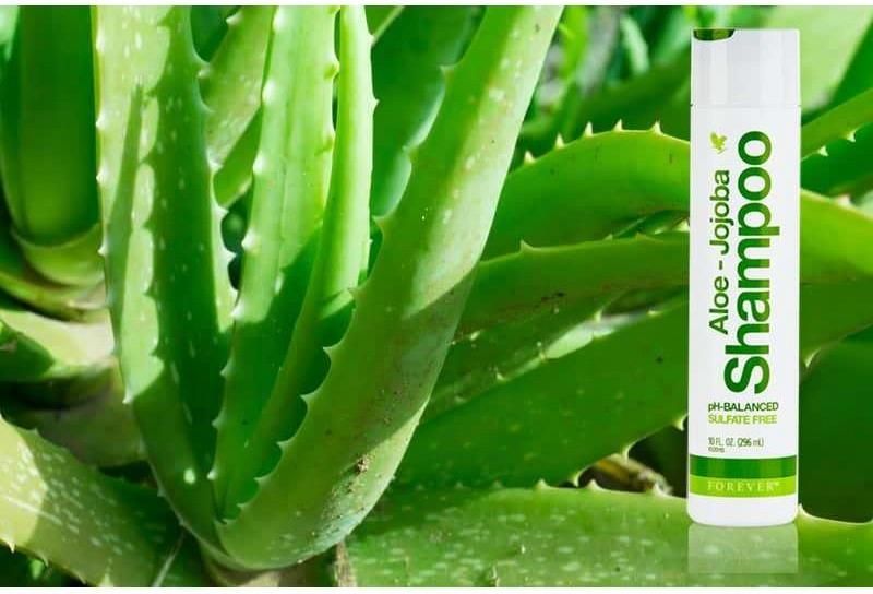 aloe jojoba szampon ceneo