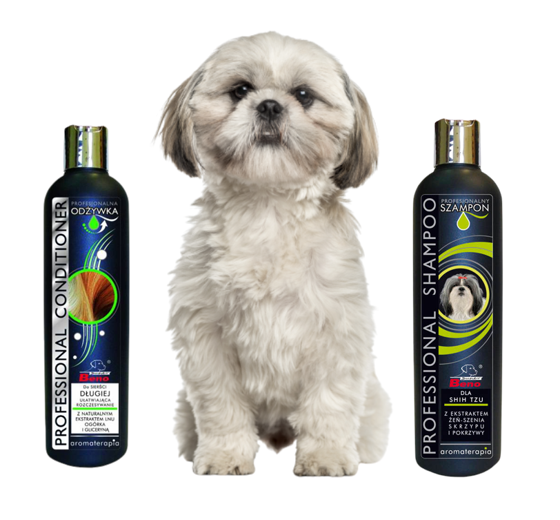 szampon dla shih tzu globetrotters