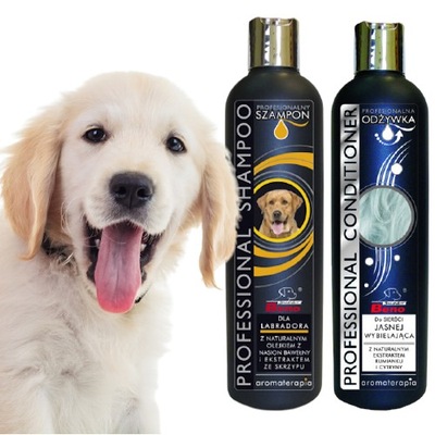 szampon dla psa golden retriever