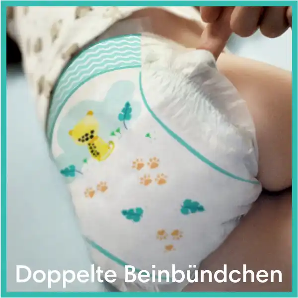 pampers baby dry 6 rossmann