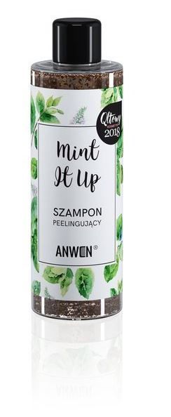 anwen szampon peelingujący mint it up 200 ml