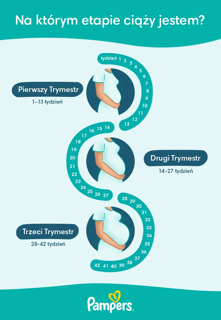 przebieg ciąży tydzień po tygodniu pampers