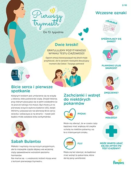 trymestry ciąży pampers