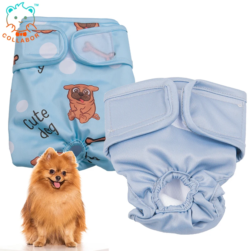 king dog pampers