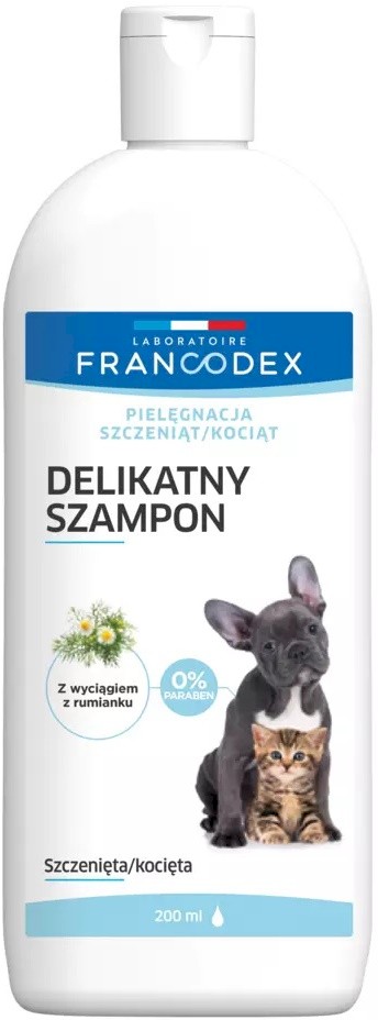 delikatny szampon dla kociąt