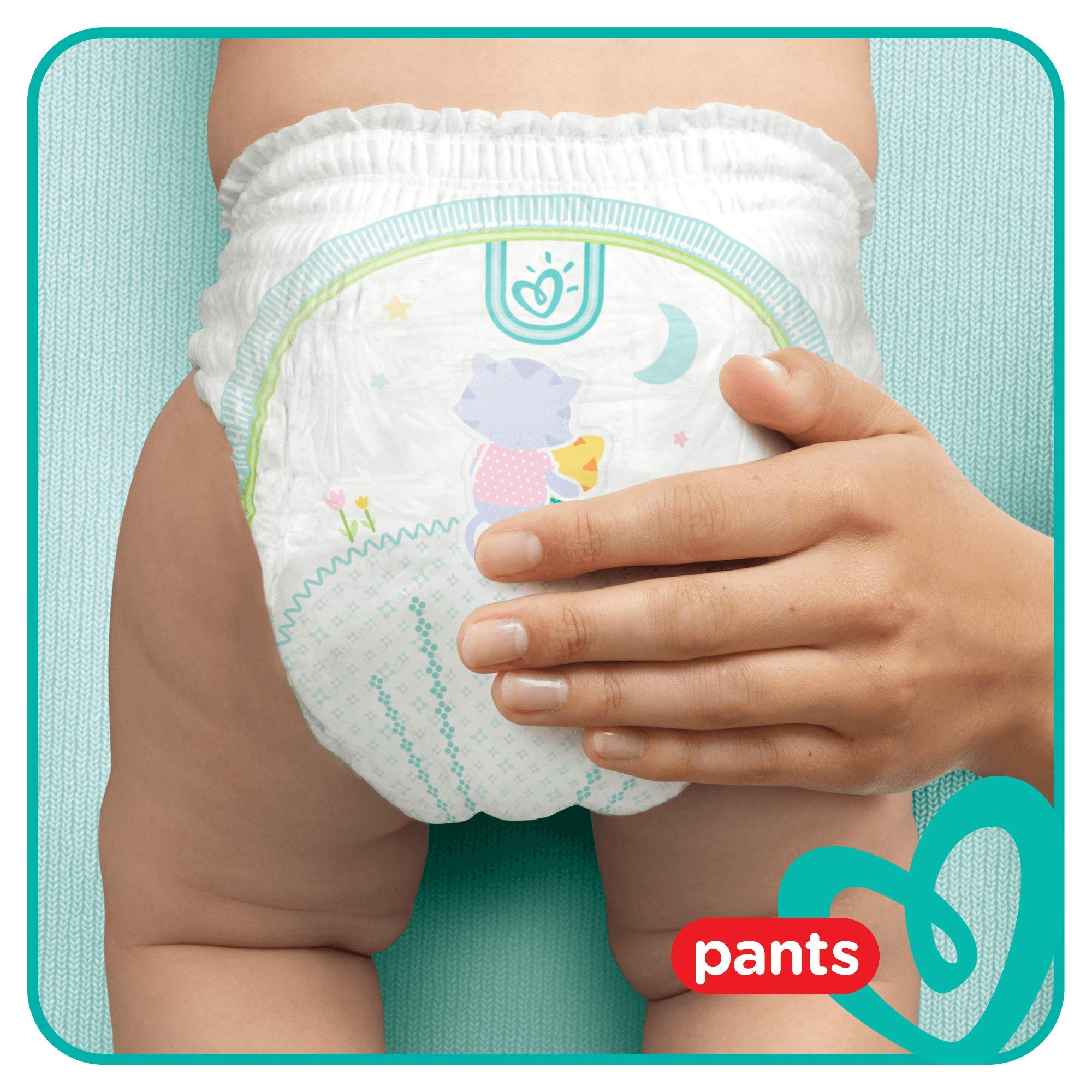 pampers pants 3 próbki