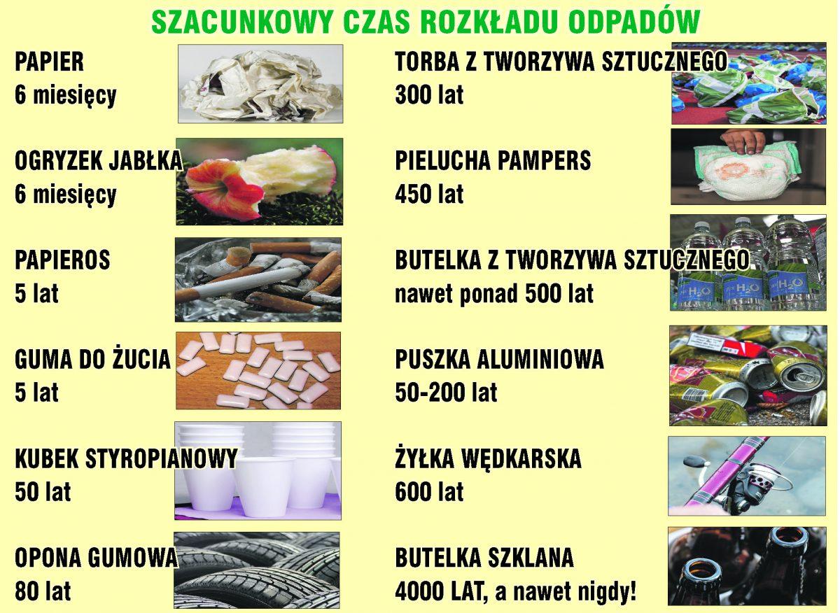 Pasta do zębów Lion Kids Brzoskwinia 60g