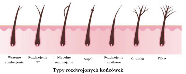 jaki szampon używać na rozdwojone końcówki