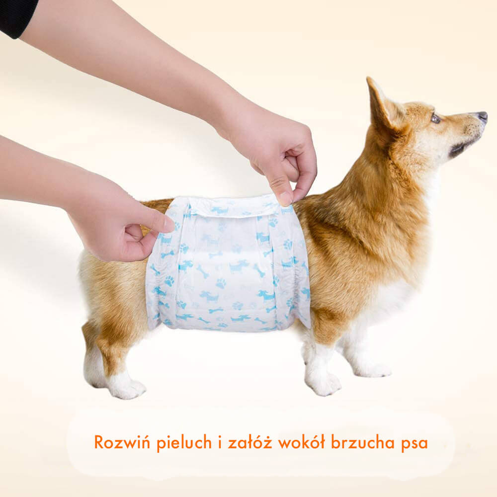 pampers dla psa suczki