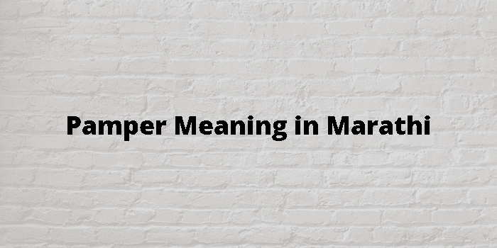 pamper meaning in marathi