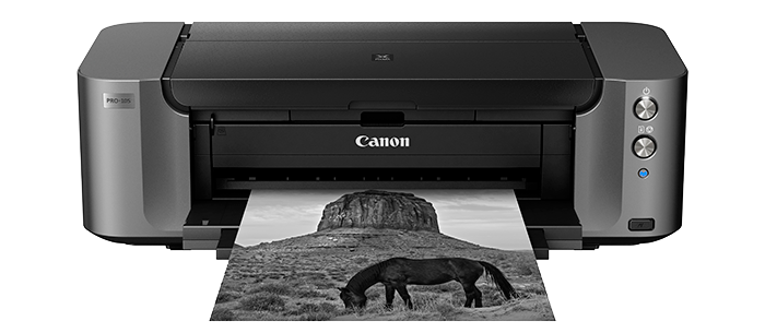 canon pixma pro 10s pampers