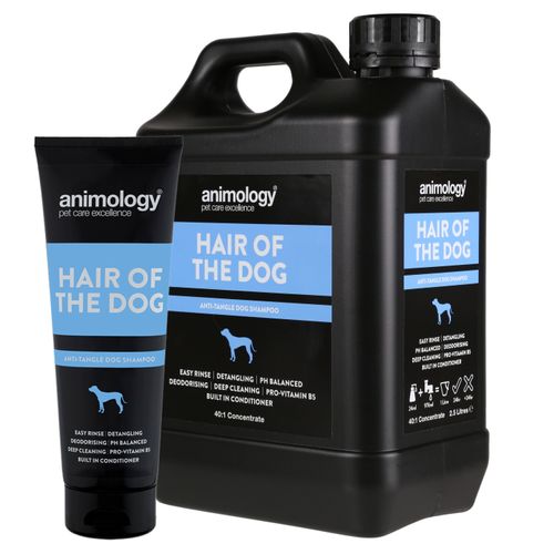 animology szampon dla psa hair of the dog