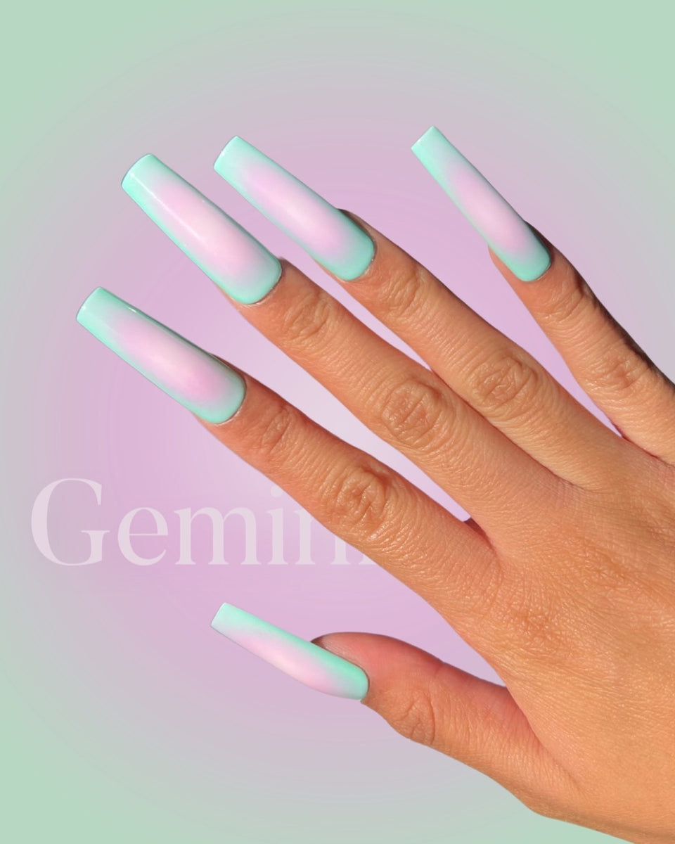 gemini pamper