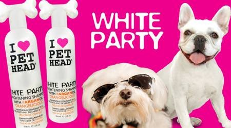 pet head white party szampon dla białych psów