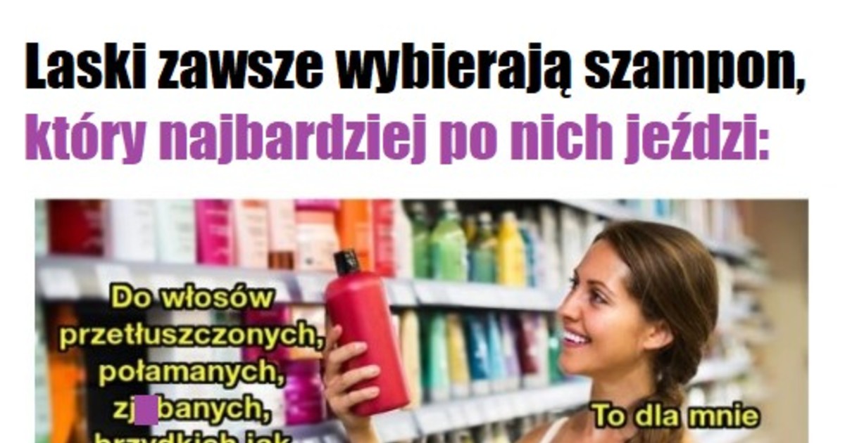 laski lubią jak ich szampon po nich jedzie