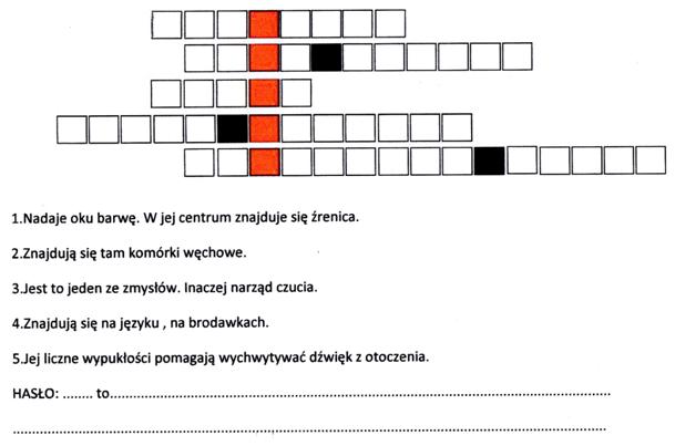 jak sie nazywa zmiana pieluchy dziecku krzyżówka