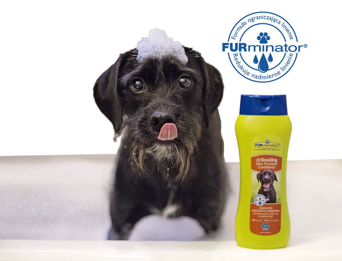 furminator suchy szampon dla kota