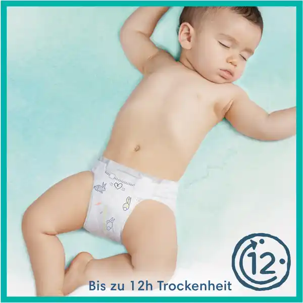 pampers premium 4 olx