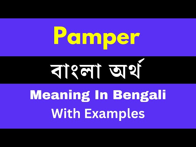 pamper meaning in bengali