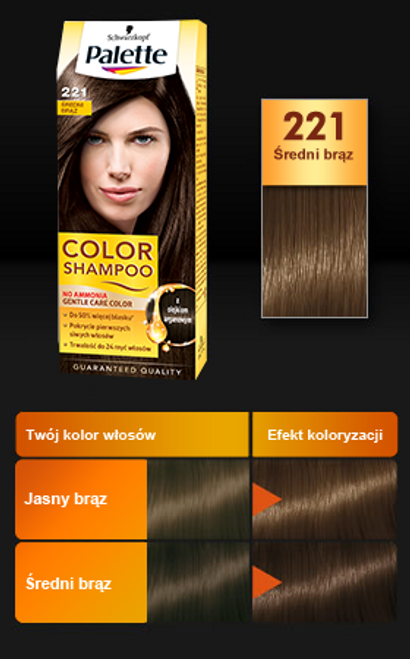 palette color shampoo szampon koloryzujący 231 jasny brąz