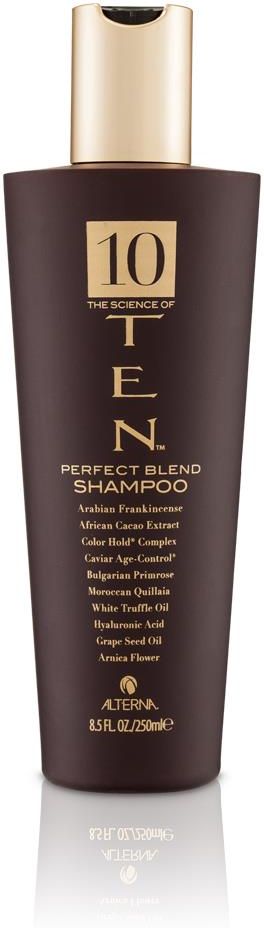 alterna ten perfect blend szampon rewitalizujący