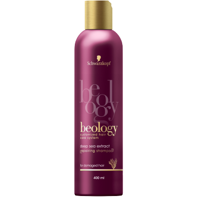 wizaz schwarzkopf beology szampon regenerujący