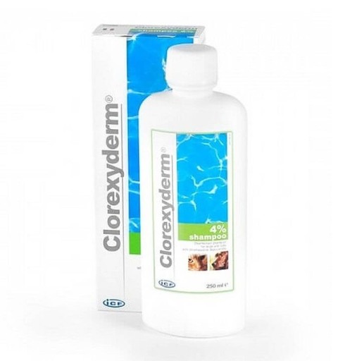 clorexyderm szampon 100 ml cena