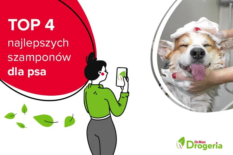 czy szampon dlaczłowieka może być dla psa