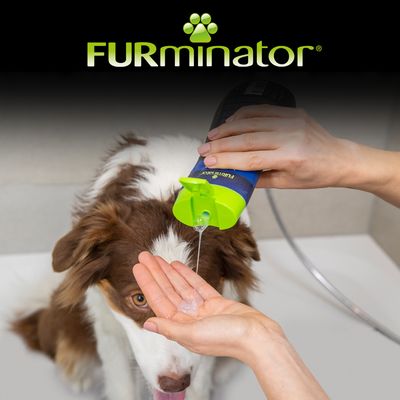 furminator szampon labrador opinie