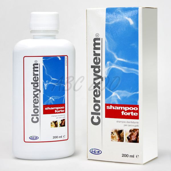 szampon dla psa clorexyderm