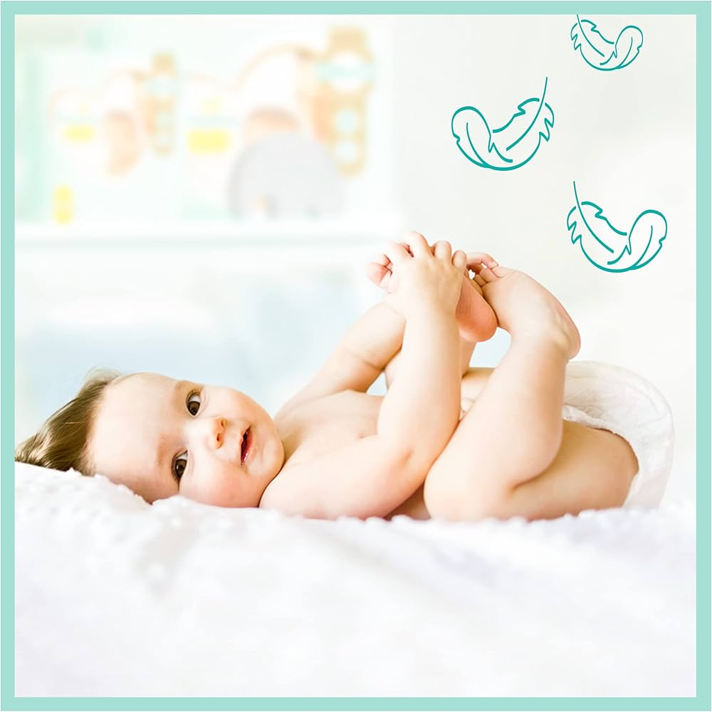 pampers premium cere 1 240 sztuk