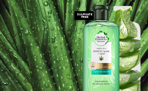 herbal essences szampon koloryzujących