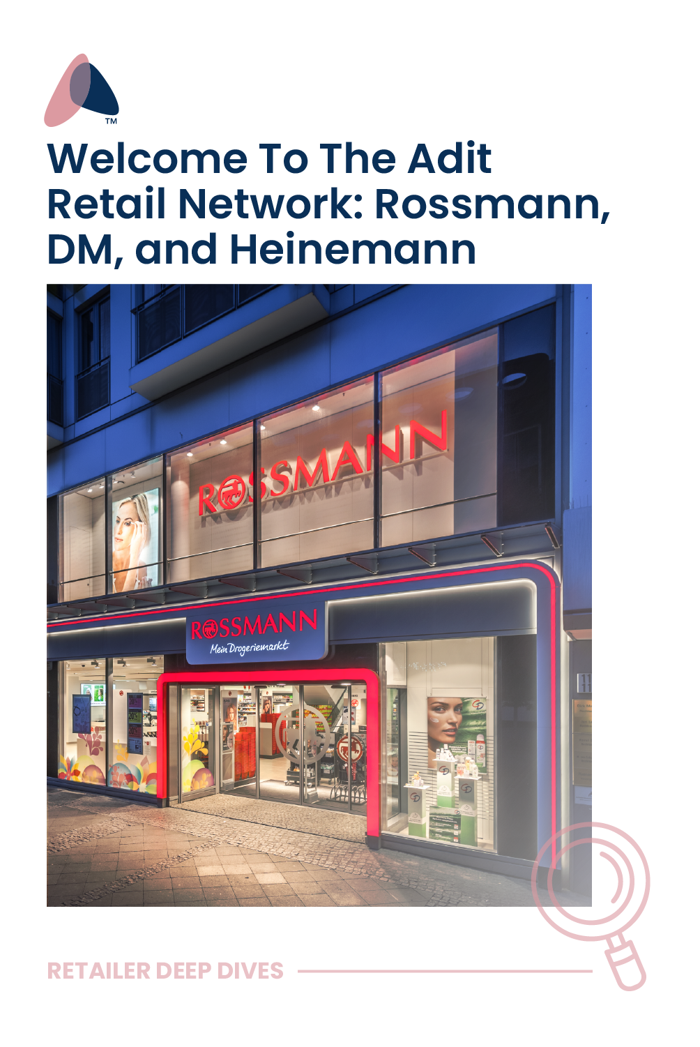 insight rossmann