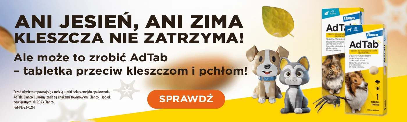 jak zrobic szampon na pchly z octem i cytryną