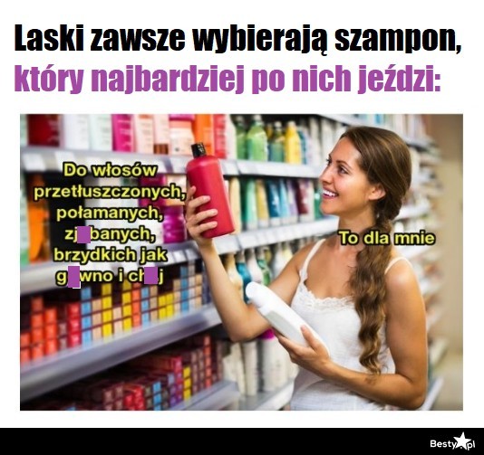 laski lubią jak ich szampon po nich jedzie