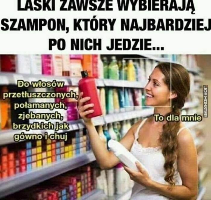 laski zawsze wybierają szampon który najbardziej po nich jedzie