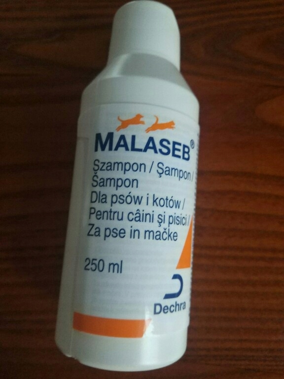 malaseb szampon allegro