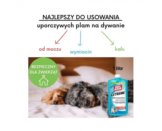 najlepszy szampon do dywanów