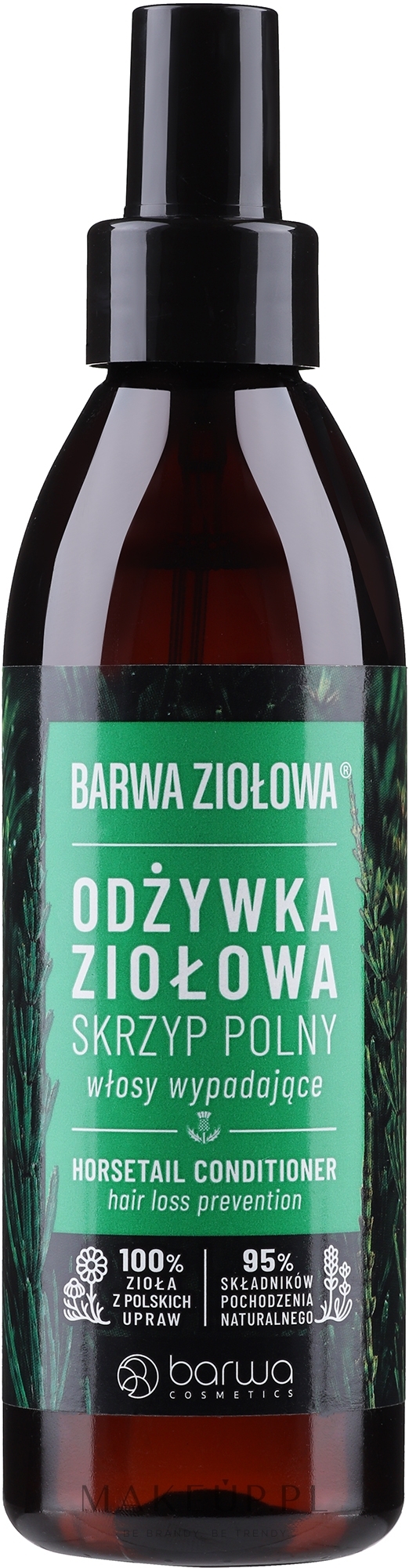 odżywka skrzyp polny do włosów wypadających barwa ziołowa