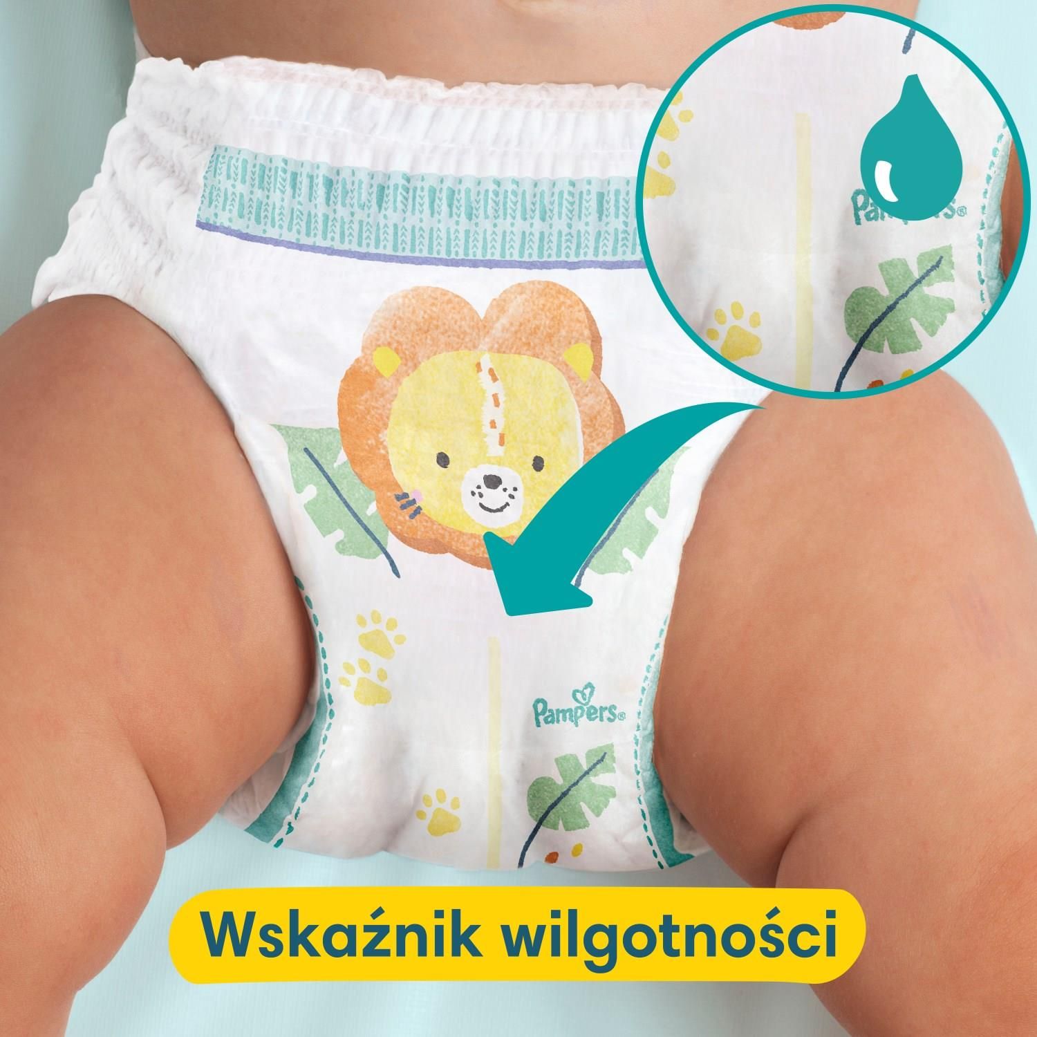 pampers pants 7 allegro