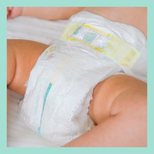 pampers premium care 26 szt