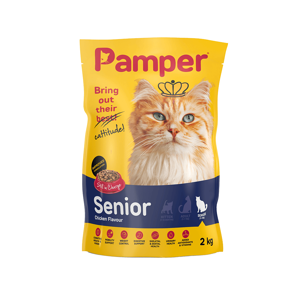 pampers senior