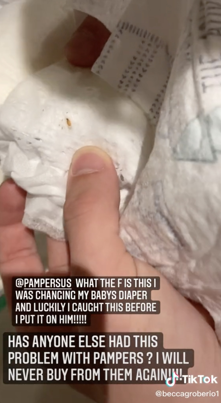 pinworm larvae in pampers