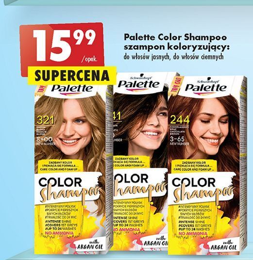 promocja szampon palette do wlosow