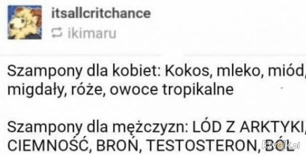 szampon dla mężczyzn a dla kobiet żart