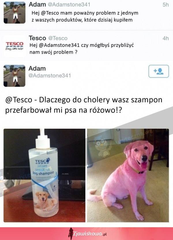 szampon do psa tesco