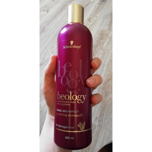 wizaz schwarzkopf beology szampon regenerujący